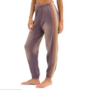 XS Aviator Nation Faded Mocha 5 stripe Joggers excellent condition didn’t fit me